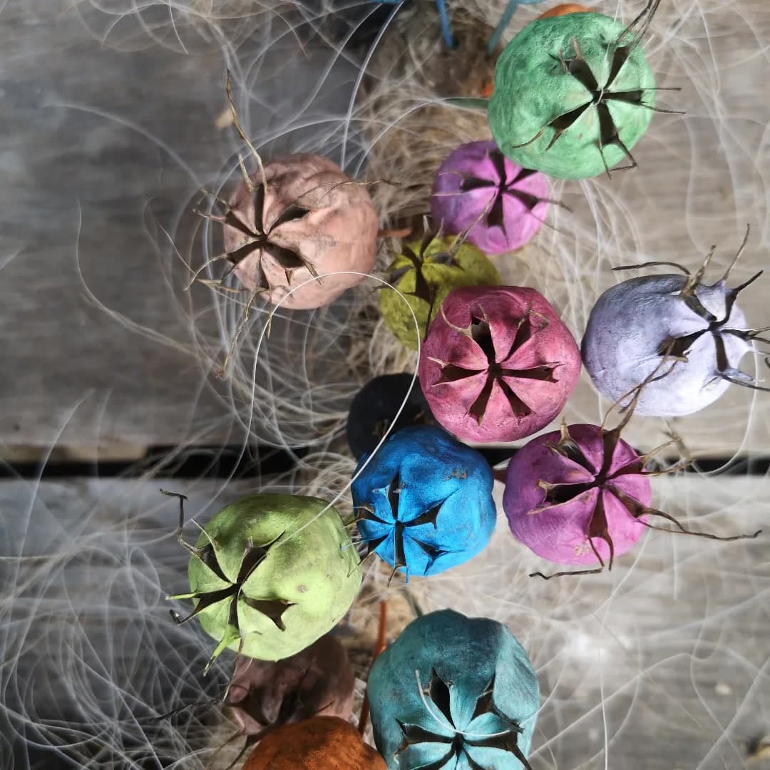 Hand-coloured seed pods woven into fine natural fibres